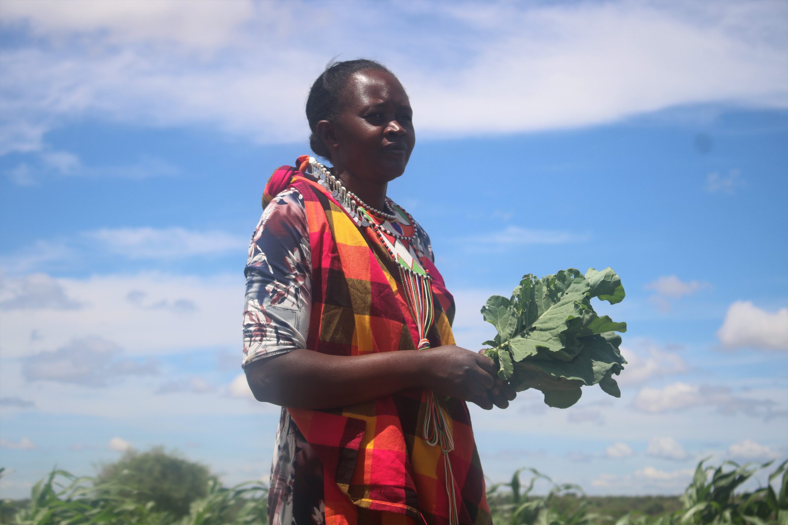 Samburu women turn to kitchen gardens to dodge changing weather patterns