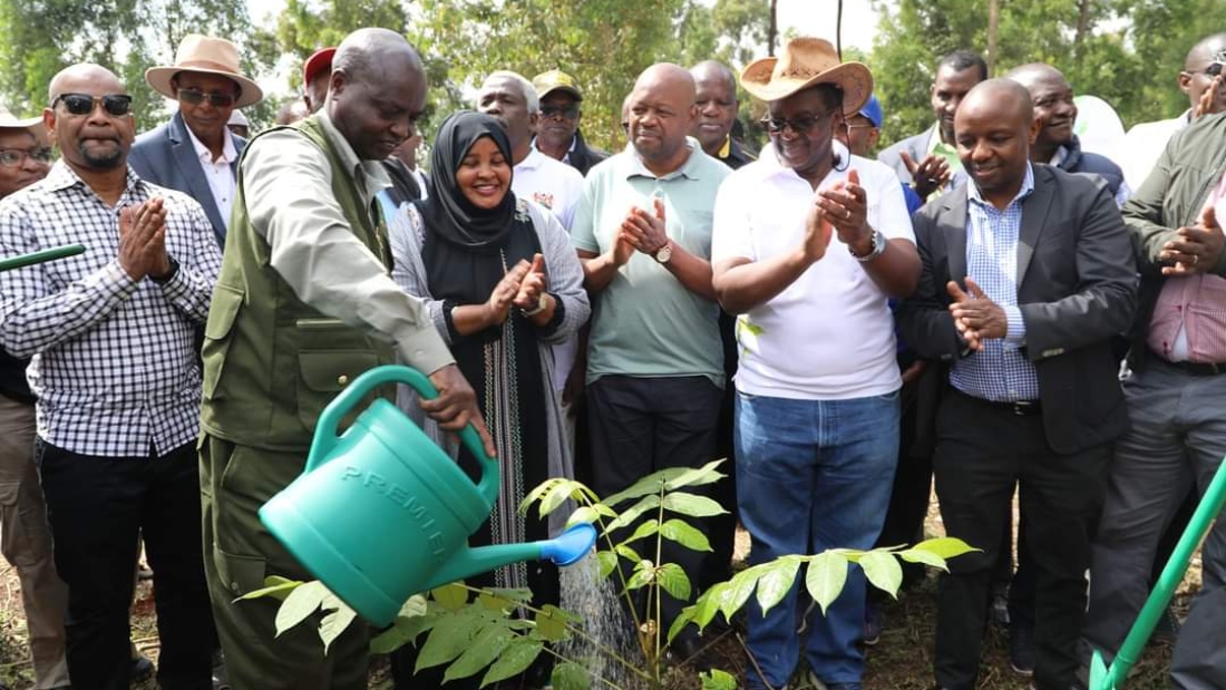 Working together against climate change: Two wards in Nakuru County will soon benefit from the County Climate Change Fund
Photo Credit I Kenya Forestry Service