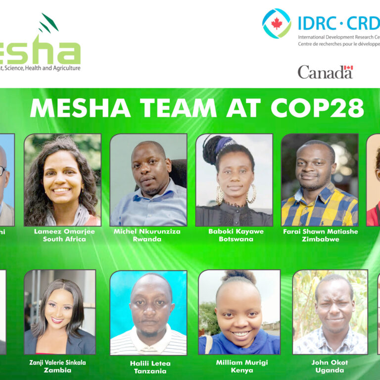 Media science cafes on COP28 kick off