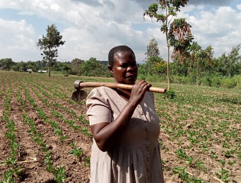 Joy in western Kenya as farmers abandon tobacco for beans