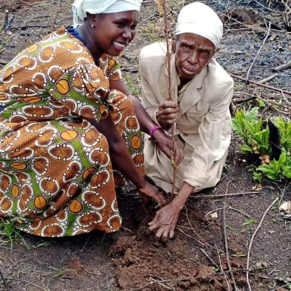 Tree planting in Nakuru: Vulnerable groups in Nakuru are embarking on a series of activities to help fight negative impacts of climate change. Photo Credit I Kenya Forestry Service