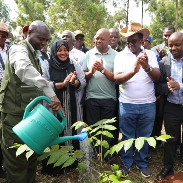 Working together against climate change: Two wards in Nakuru County will soon benefit from the County Climate Change Fund
Photo Credit I Kenya Forestry Service